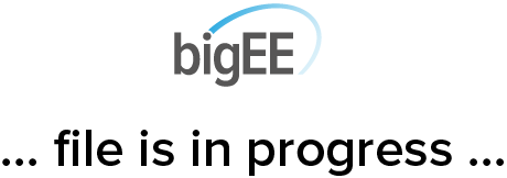 bigee_av_file_in_progress.png